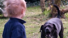 TERIFIANT // Un copil de 6 ani a fost ucis de câinele familiei